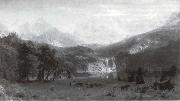 Albert Bierstadt Die Rocke Mountains oil painting
